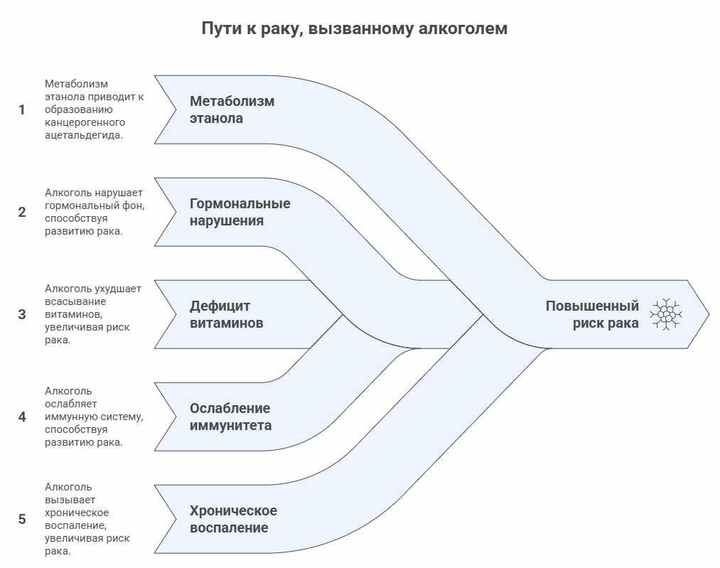 Инфографика о влиянии алкоголя на онкологию