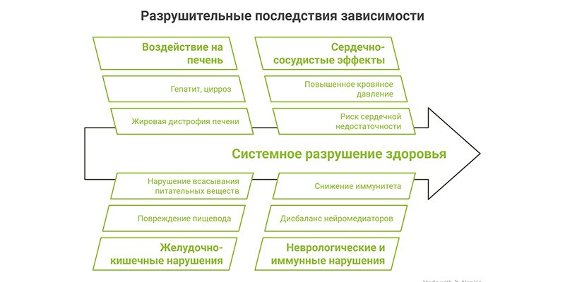 Инфографика Разрушительные последствия зависимости